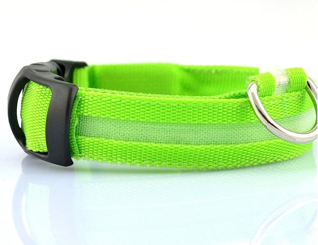 Nylon LED Pet Dog Collar,Night Safety Flashing Glow In The Dark Dog Leash,Dogs Luminous Fluorescent Collars Pet Supplies