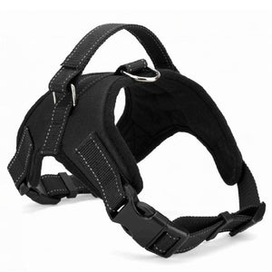 Dog Pet Harness